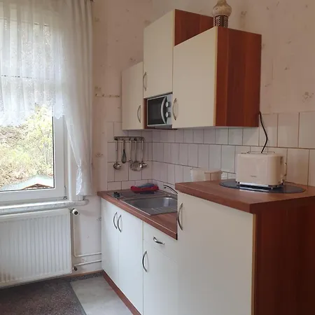 Ferienwohnung Harzhaus Am Brunnen Altenau  Exterior foto