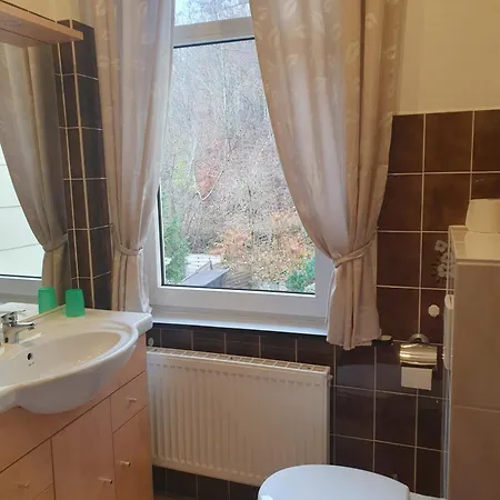 Ferienwohnung Harzhaus Am Brunnen Altenau  Exterior foto