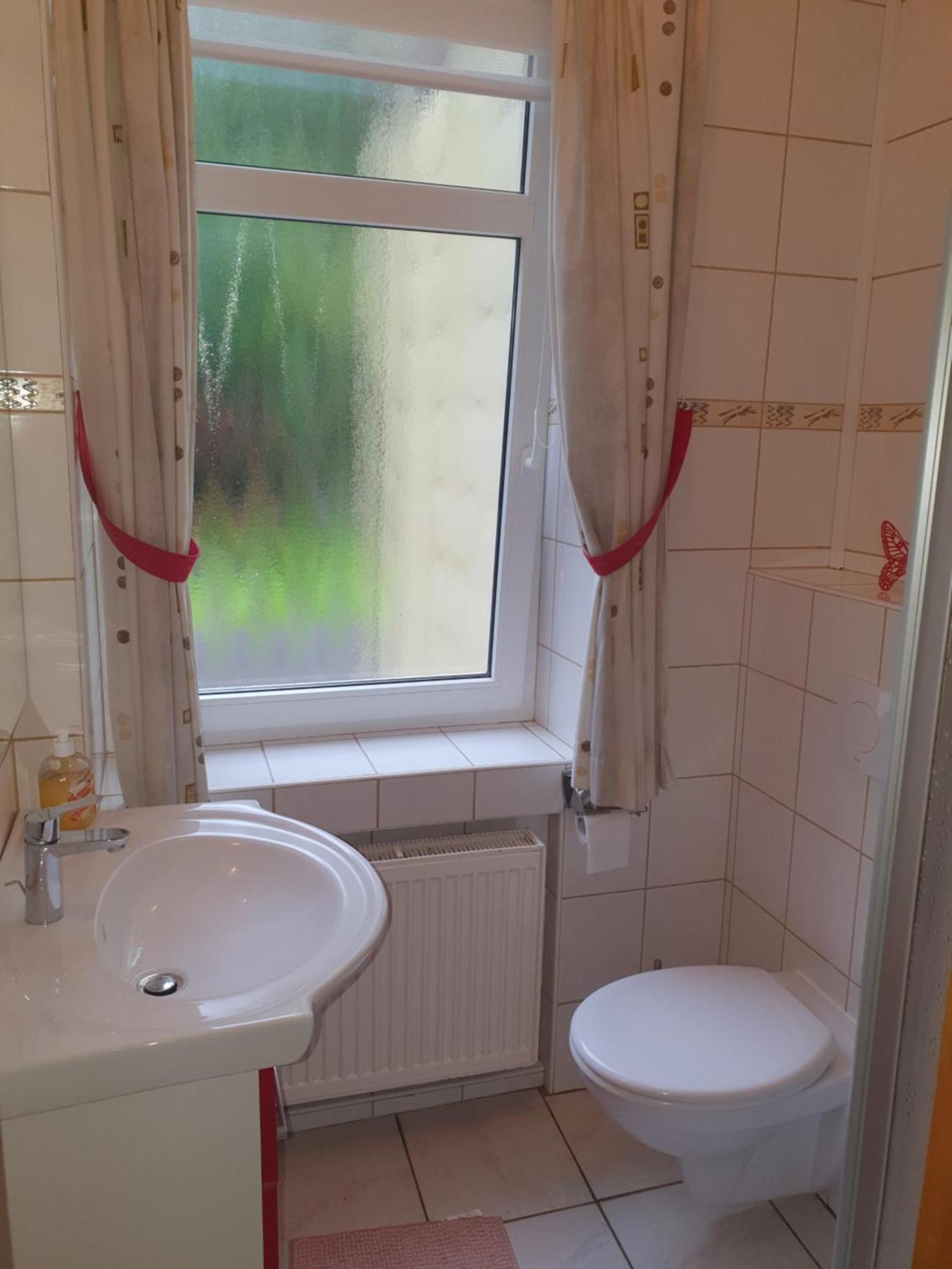 Harzhaus Am Brunnen Apartment *